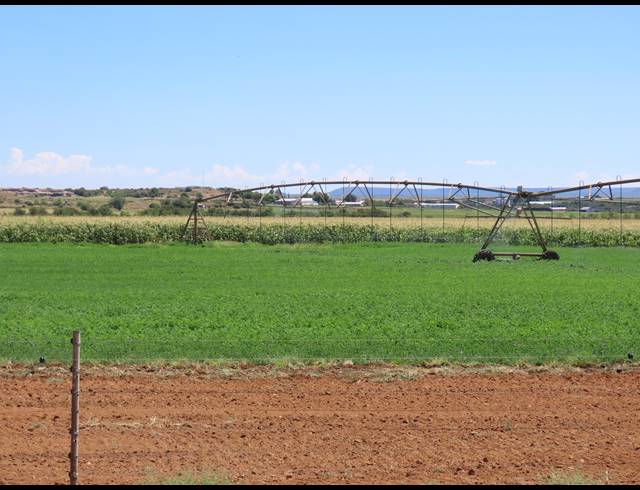 213HA FARM FOR SALE IN HOPETOWN RURAL